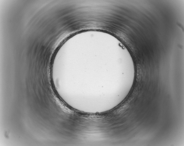 X0000102260942200808151837