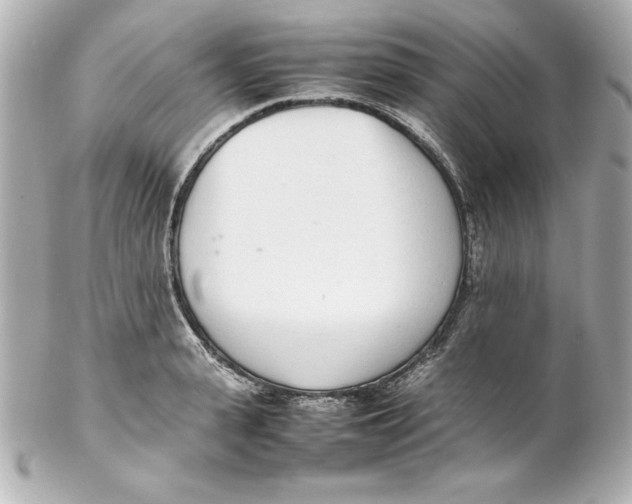 X0000102260943200808151837