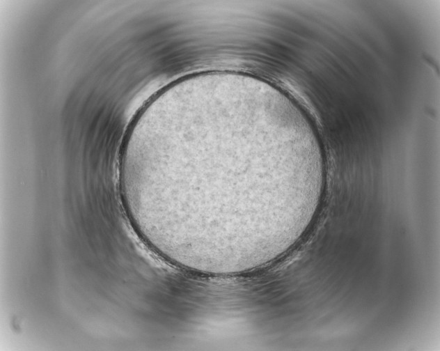 X0000102260944200808151837