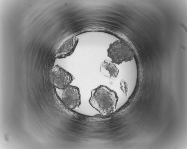 X0000102260945200808151837