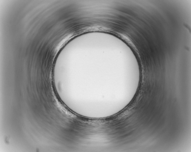 X0000102260946200808151837