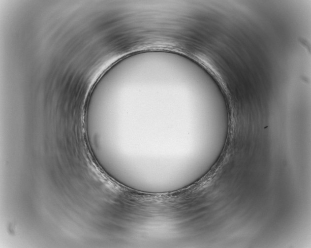 X0000102260948200808151837