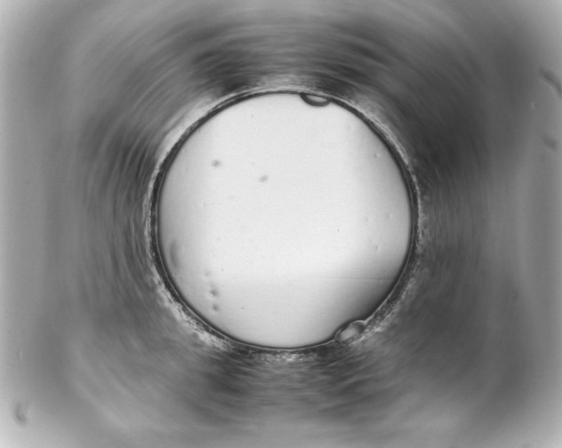 X0000102260949200808151837