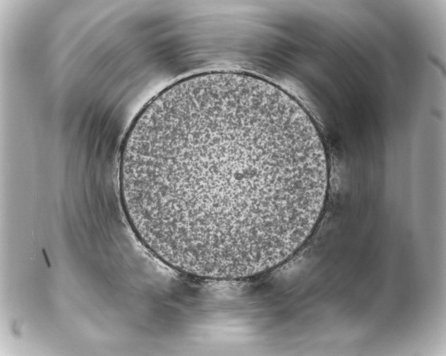 X0000102260950200808151837