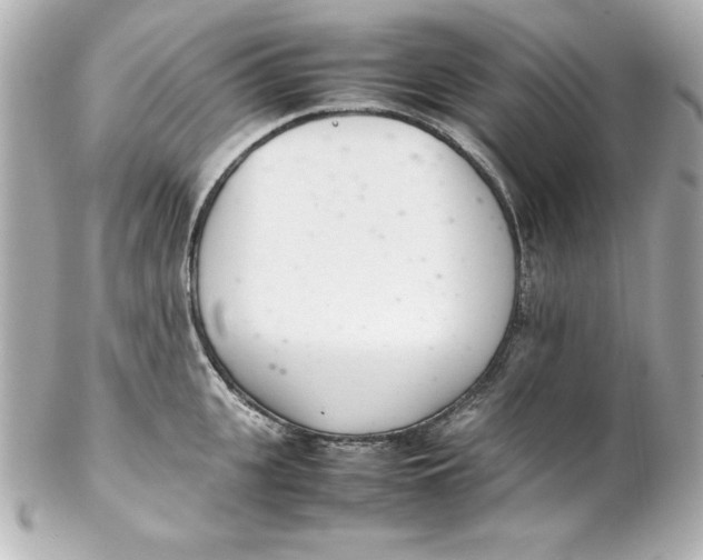 X0000102260951200808151837