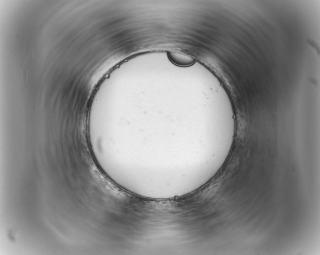 X0000102260952200808151837