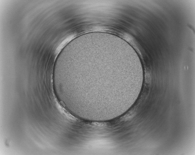 X0000102260954200808151837