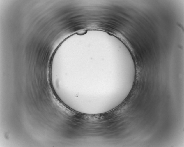 X0000102260955200808151838