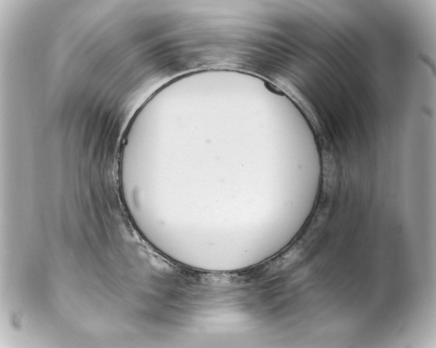 X0000102260956200808151838