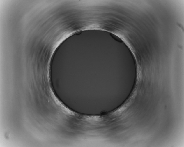 X0000102260957200808151838