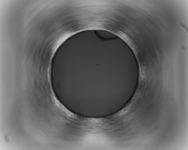 X0000102260958200808151838