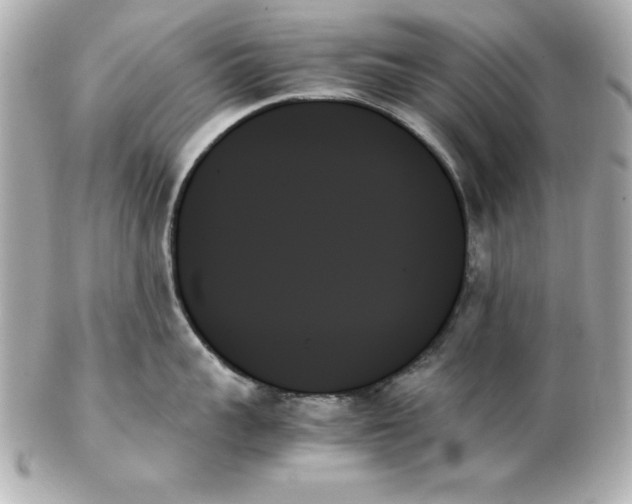 X0000102260959200808151838