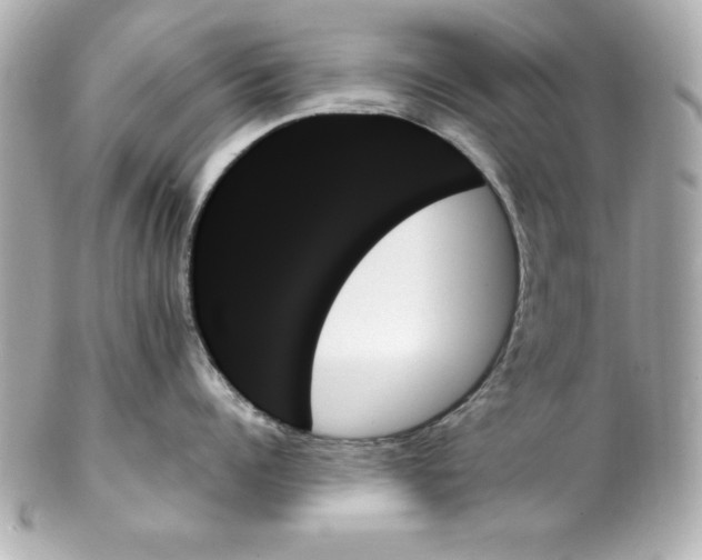 X0000102260960200808151838