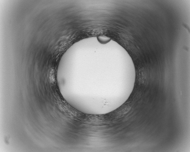 X0000102260962200808151837