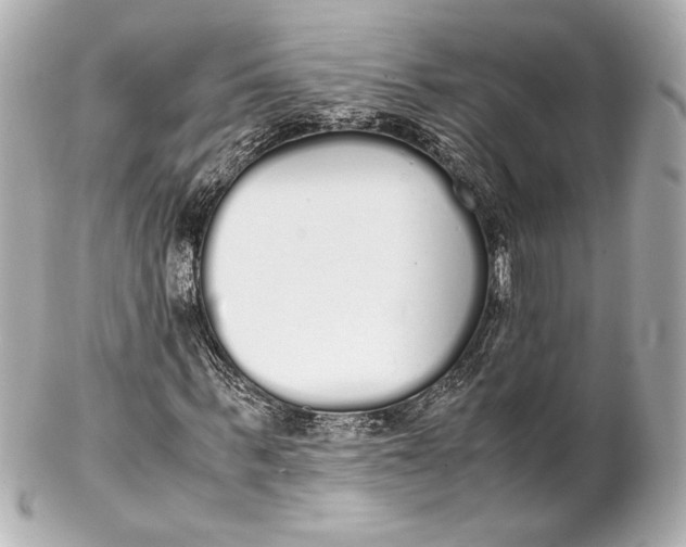 X0000102260963200808151837