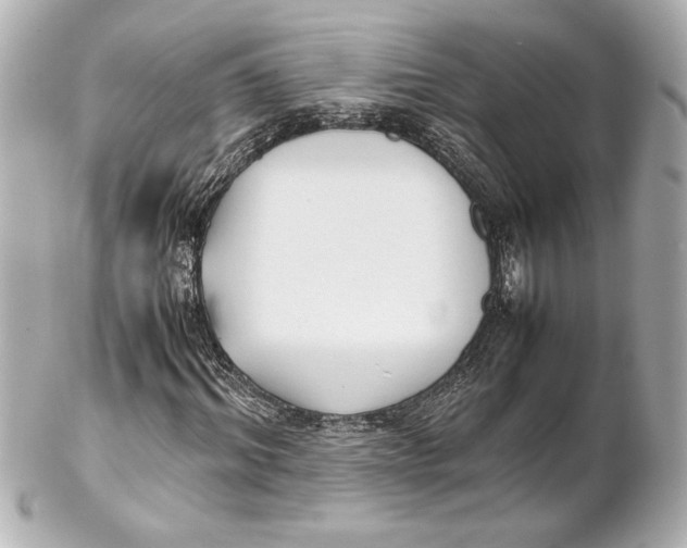 X0000102260964200808151837