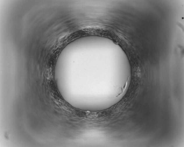 X0000102260965200808151837