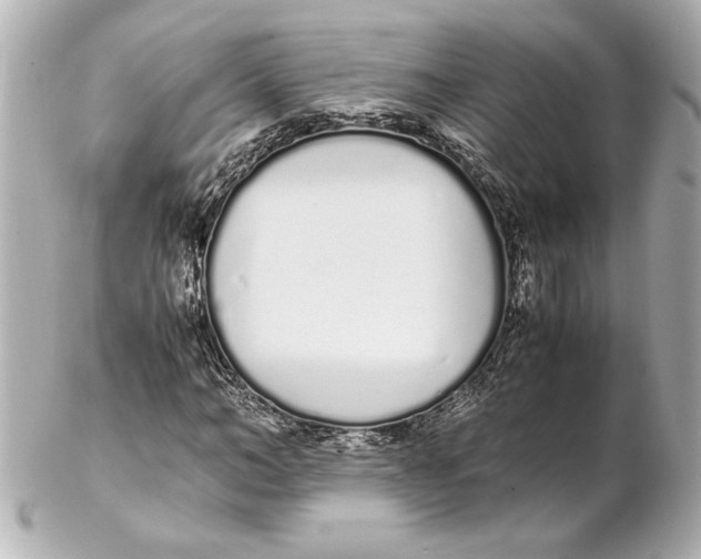 X0000102260966200808151837