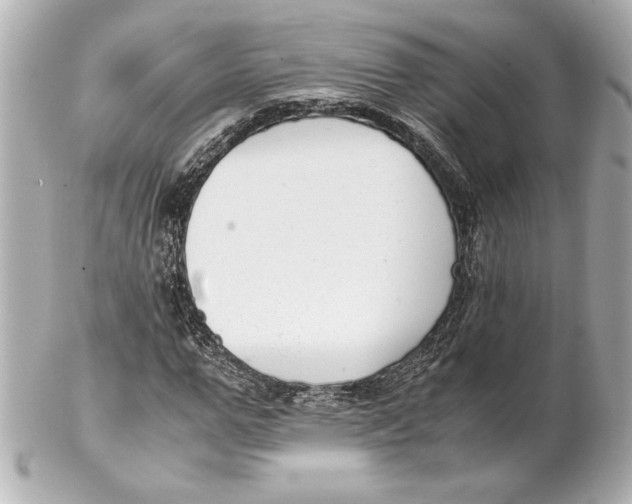 X0000102260967200808151837