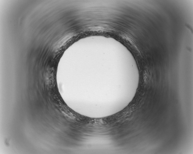 X0000102260968200808151837