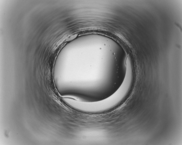 X0000102260969200808151837