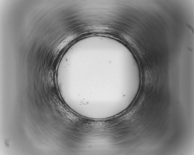 X0000102260970200808151837