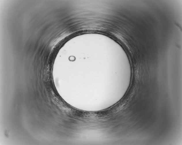 X0000102260971200808151837