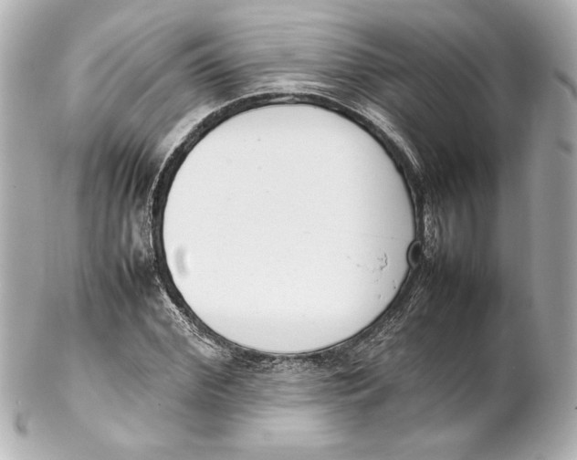 X0000102260972200808151837