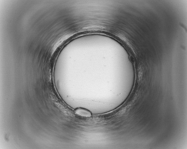 X0000102260973200808151837