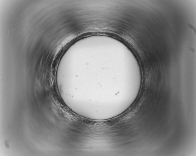 X0000102260974200808151837