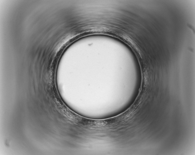 X0000102260975200808151837