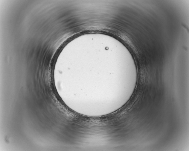 X0000102260976200808151837