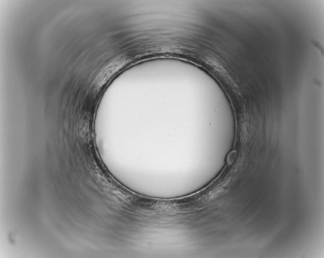 X0000102260977200808151837