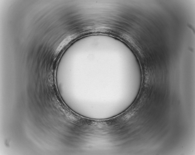 X0000102260978200808151836