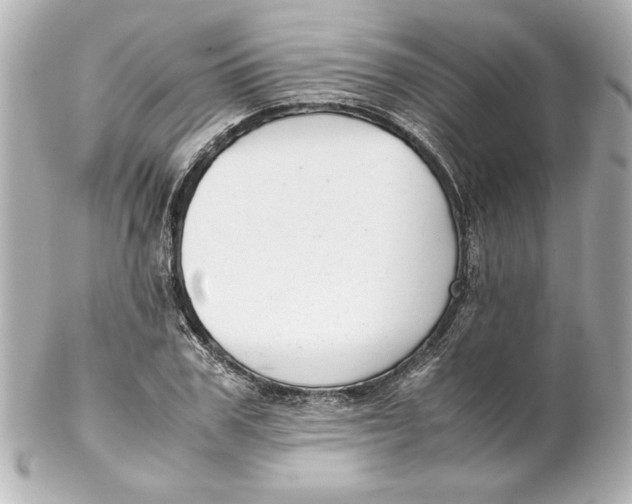 X0000102260979200808151836