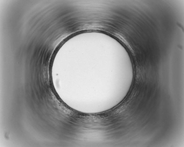 X0000102260980200808151836