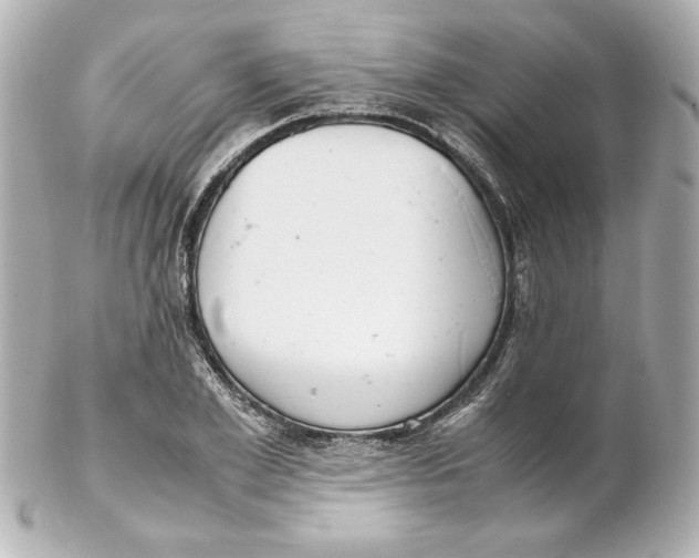 X0000102260981200808151836