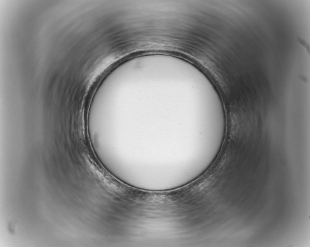 X0000102260982200808151836