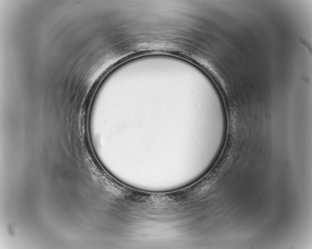 X0000102260983200808151836