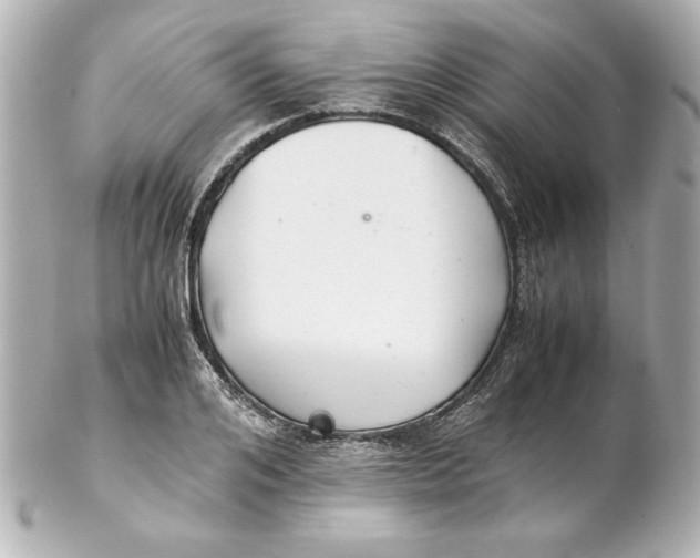 X0000102260984200808151836