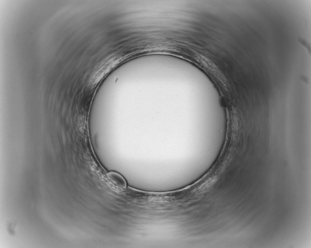 X0000102260985200808151836