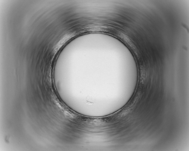 X0000102260986200808151836