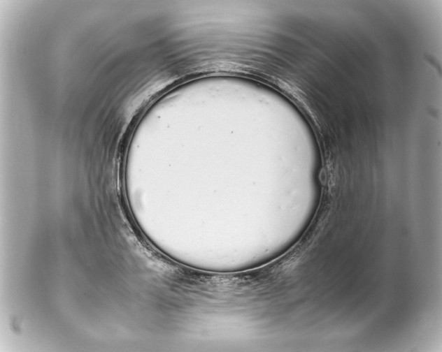 X0000102260987200808151836