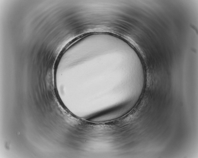 X0000102260988200808151836