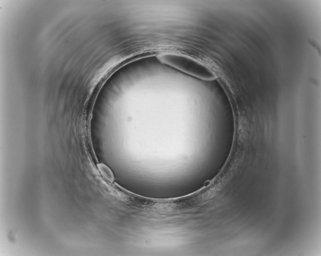 X0000102260989200808151836