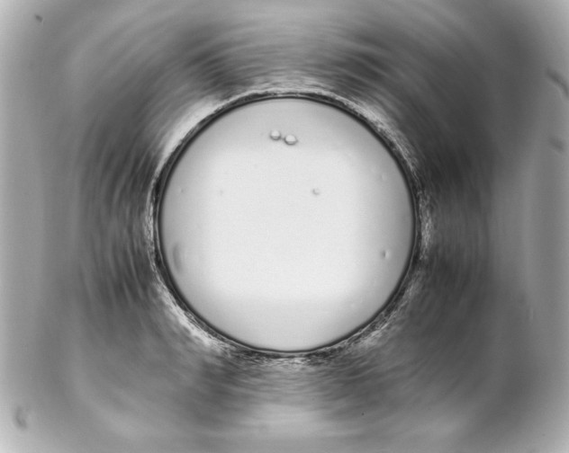 X0000102260990200808151836