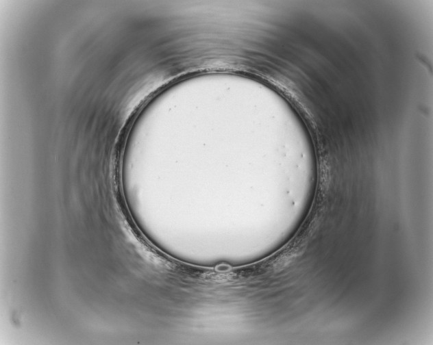 X0000102260991200808151836