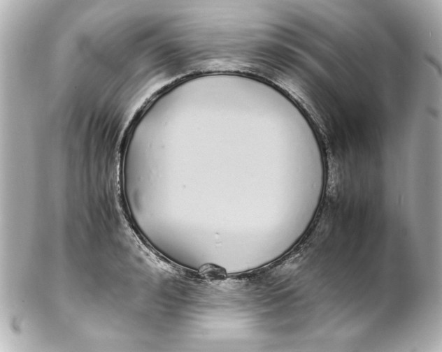 X0000102260992200808151836