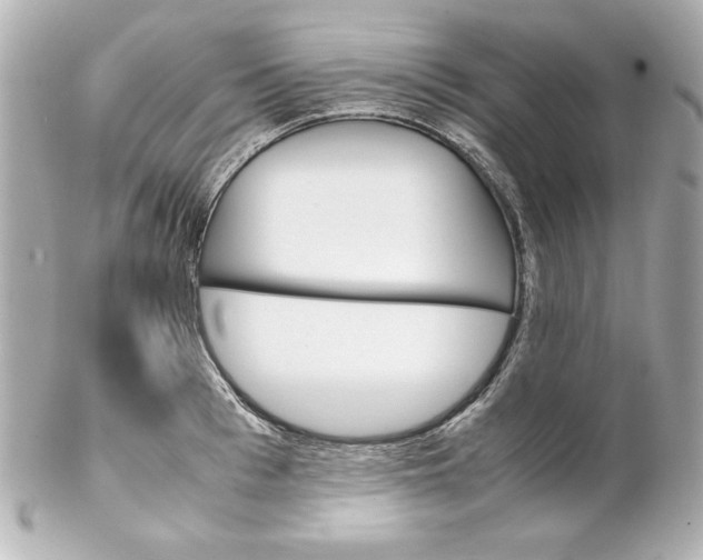 X0000102260993200808151836