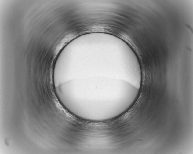 X0000102260994200808151836